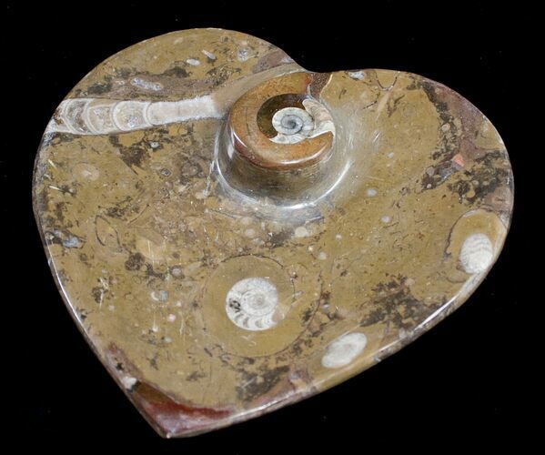 Heart Shaped Fossil Goniatite Dish #8873
